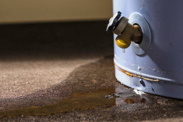Best Water damage restoration process  in St Augustine Shores, FL
