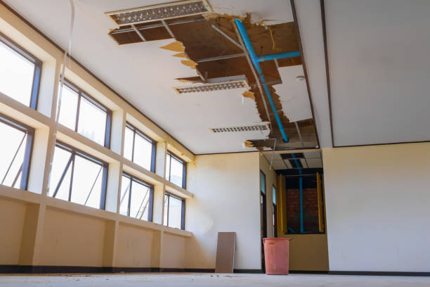 Best Water damage restoration near me  in St Augustine Shores, FL