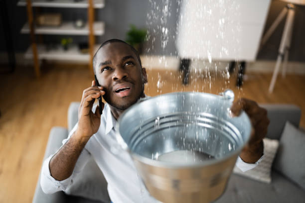 Best Flood damage cleanup  in St Augustine Shores, FL