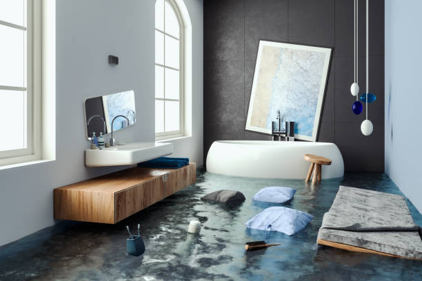 Best Local water damage restoration  in St Augustine Shores, FL