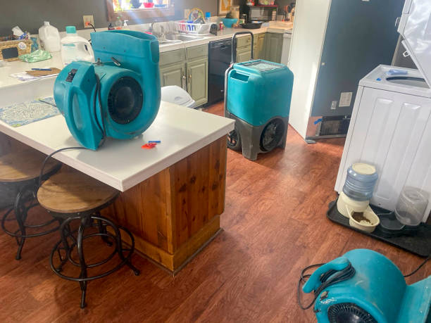 Best Water damage cleanup near me  in St Augustine Shores, FL