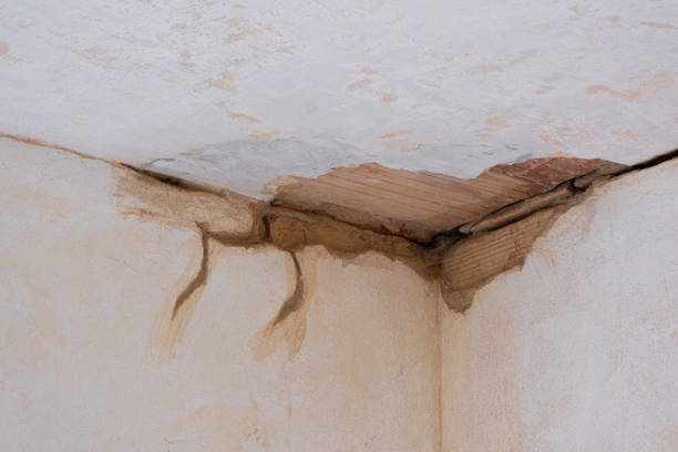 Best Water damage restoration specialists  in St Augustine Shores, FL