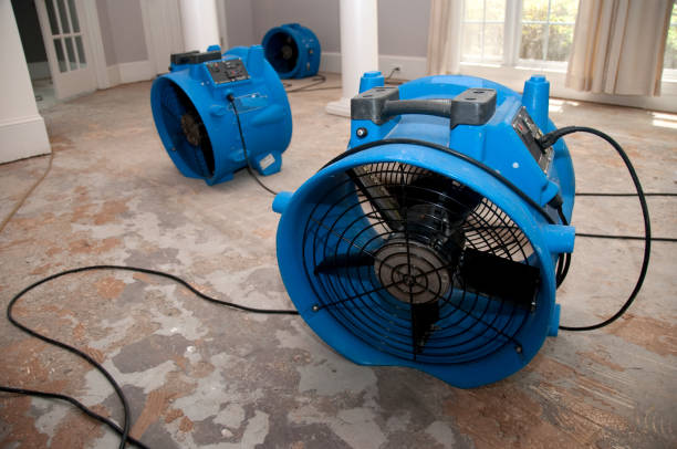 Best Residential water damage restoration  in St Augustine Shores, FL