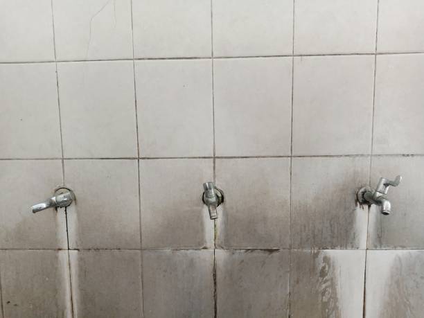 Best Professional water damage repair  in St Augustine Shores, FL