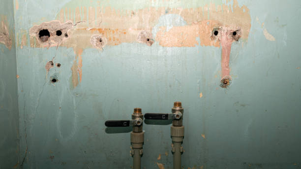 Best Water damage contractors near me  in St Augustine Shores, FL