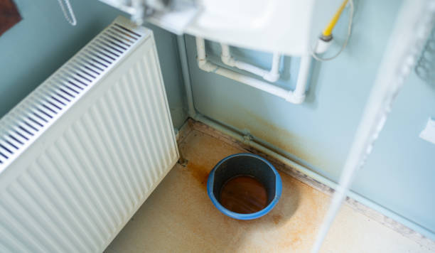 Best Mold removal after water damage  in St Augustine Shores, FL