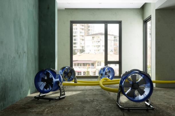Best Sewage cleanup and water damage restoration  in St Augustine Shores, FL